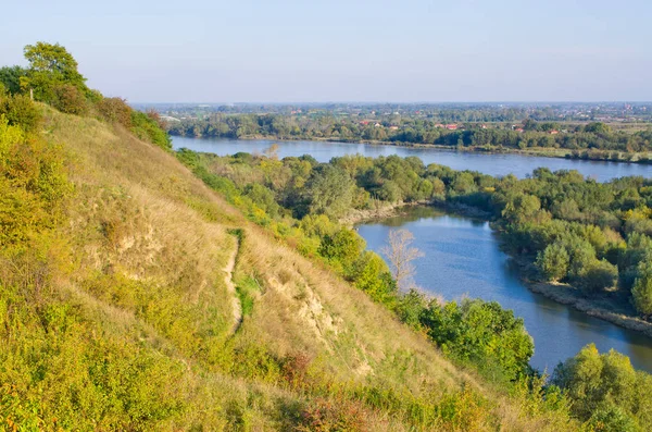 Pepe Montagne Vicino Sandomierz Polonia — Foto Stock