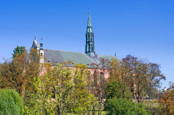 Catherdal Sandoměře Polsku — Stock fotografie