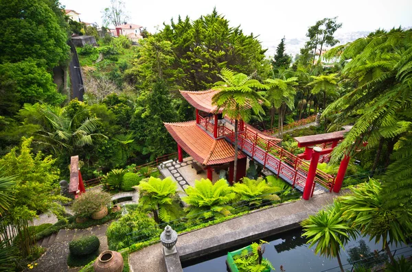 Funchal Madeira Island Portugal Maj 2017 Monte Palace Tropisk Trädgård — Stockfoto