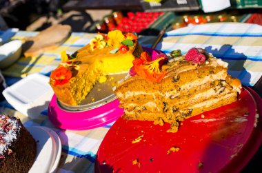 Kabak Festivali Botanik Bahçesi - Wroclaw, Polonya