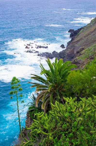 Costa de la isla de Tenerife — Foto de Stock