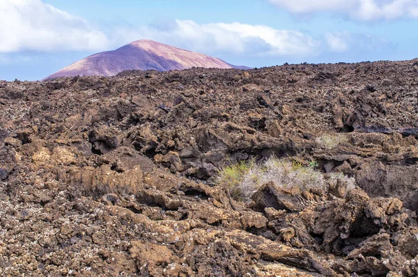 Vulkanikus Táj Lanzarote Island Spanyolország — Stock Fotó