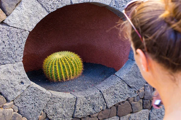 Jardin Cactus Lanzarote Spagna Foto Stock