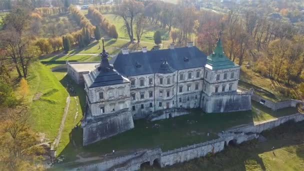 Vista Desde Vista Pájaro Del Antiguo Castillo Pidhirtsi Ucrania — Vídeos de Stock