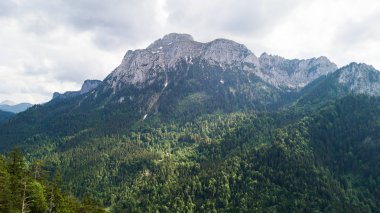 Bir yükseklikten, iğne yapraklı ağaçlarla bir dağ aralığına kadar görünüm.