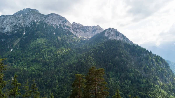 Pohled Výšky Horského Pohoří Jehličnaté Stromy — Stock fotografie