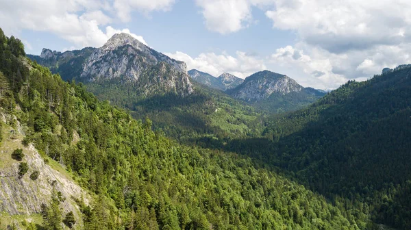 Vista Altezza Una Catena Montuosa Con Alberi Conifere — Foto Stock