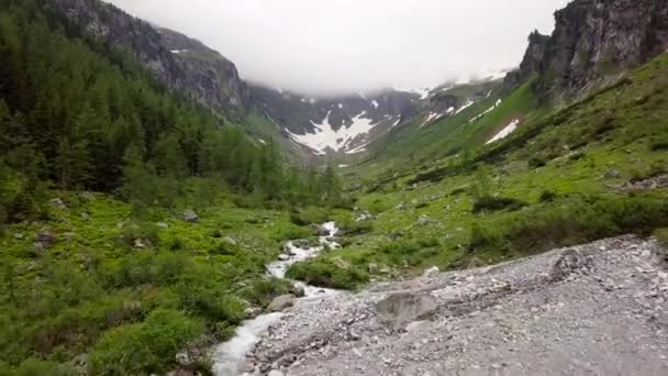 Widok Lotu Ptaka Górskim Potoku Alpejskiej Scenerii Austria — Wideo stockowe