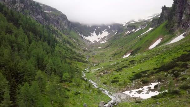 Luftaufnahme Des Gebirgsbaches Den Alpinen Bergen Österreich — Stockvideo