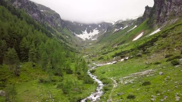 Vue Aérienne Ruisseau Montagne Dans Les Montagnes Alpines Autriche — Video