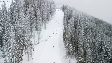 Kayakçı ve snowboard düşkünleri bir kayak merkezinde Bukovel, Ukrayna yamaç aşağı git.