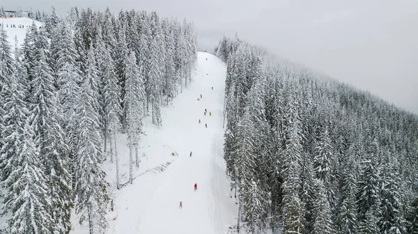 滑雪者和滑雪沿着斜坡在滑雪胜地 Bukovel 乌克兰 — 图库照片
