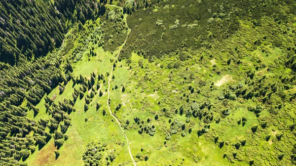 Luchtfoto Van Het Voetpad Karpaten — Stockfoto