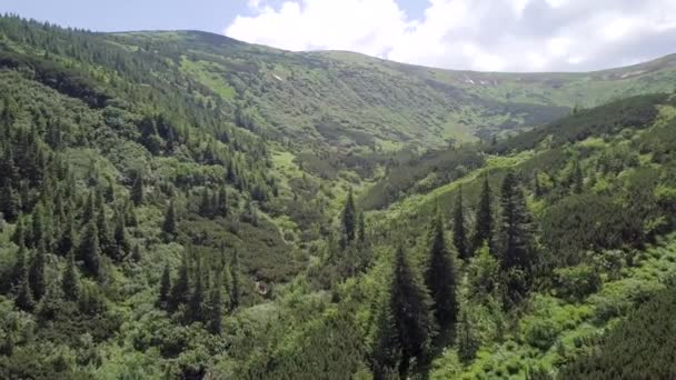 Letecký Pohled Letní Horské Krajiny Karpaty Ukrajina — Stock video