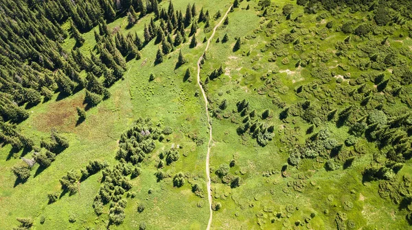 Luchtfoto Van Het Voetpad Karpaten — Stockfoto