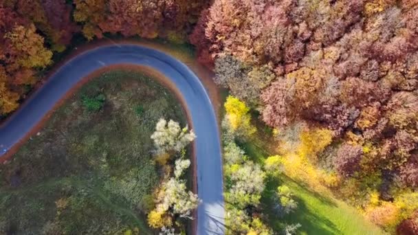 Вид Повітря Зміїну Дорогу Красивий Осінній Пейзаж — стокове відео