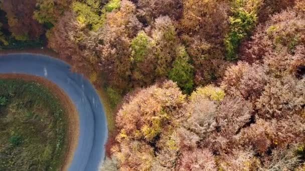 Flygfoto Bergsväg Och Vackert Höstlandskap — Stockvideo
