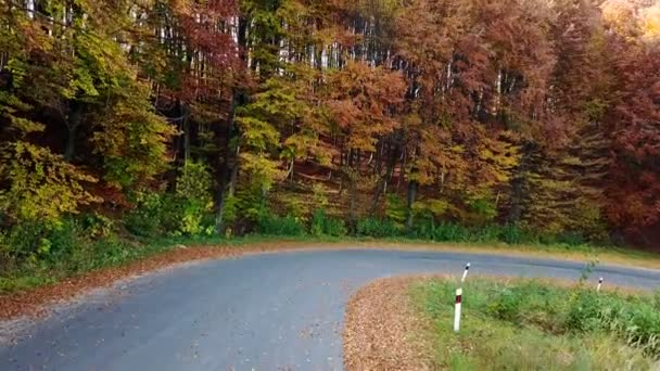 Vista Volo Uccello Una Strada Montagna Bellissimo Paesaggio Autunnale — Video Stock