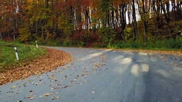 Bergstraße Und Schöne Herbstlandschaft — Stockvideo