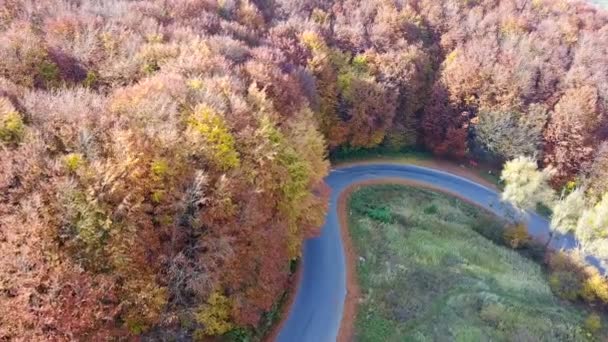 Yılan Gibi Yol Güzel Sonbahar Manzara Havadan Görünümü — Stok video