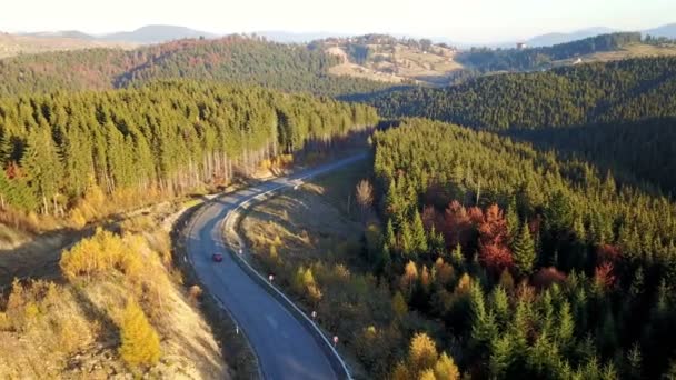 Flygfoto Över Landskapets Serpentin Landsväg Och Mountainbike Karpaterna Ukraina — Stockvideo