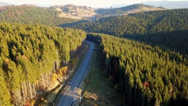 Flygfoto Över Landskapets Serpentin Landsväg Och Mountainbike Karpaterna Ukraina — Stockvideo