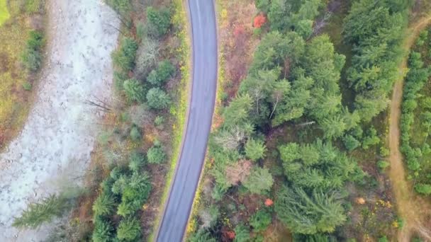 俯瞰して下さい Prut の川に沿って走る山岳道路 カルパティア山脈 ウクライナ トップ ビュー — ストック動画