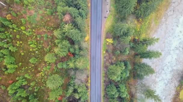 Vista Aérea Del Movimiento Vehículos Una Carretera Montaña Cárpatos Ucrania — Vídeo de stock