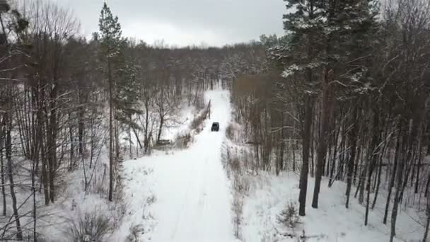 冬の森 バックビューで雪に覆われた道に乗って Suv の空撮 — ストック動画