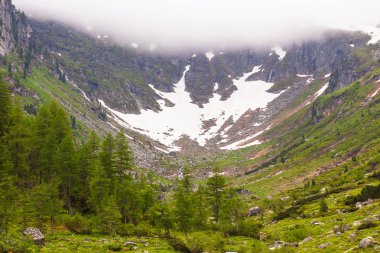 Bir kanyonda yüksek Alp Dağları kar.