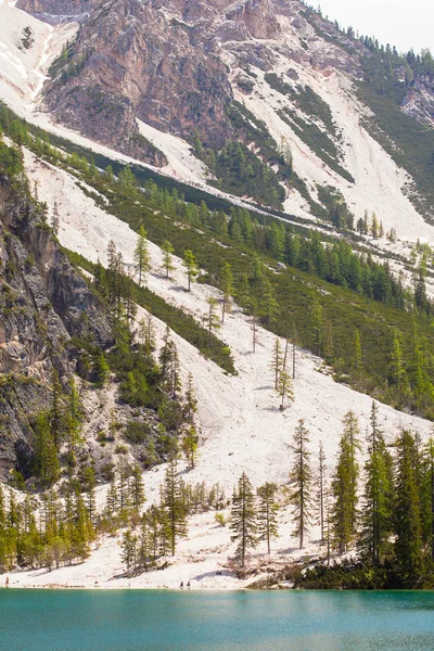 Sárfolyamban Magas Alpesi Hegyek Lago Braies — Stock Fotó