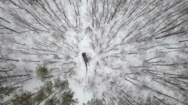 Flygfoto Suv Som Rider Snötäckt Väg Vinter Skog Ovanifrån Road — Stockvideo