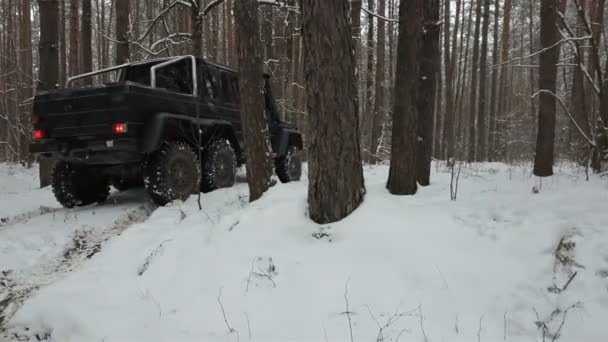 冬の森 バックビューで雪に覆われた道を Suv の立っています オフロード — ストック動画