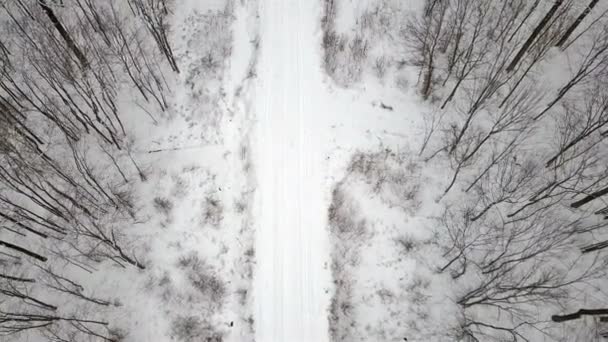 Letecký Pohled Zasněžené Silnici Zimním Lese Kterým Jezdí Suv — Stock video