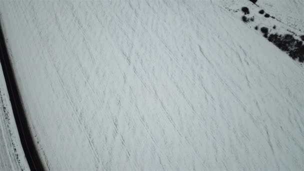 Een Gebied Van Wintertarwe Vogelvlucht Bedekt Met Witte Sneeuw Natuurlijke — Stockvideo