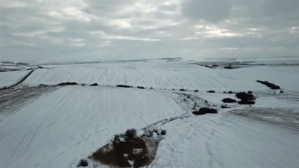 Paisaje Invernal Vista Pájaro Campos Cubiertos Nieve — Vídeo de stock