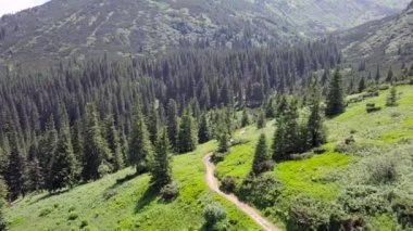 Karpatlar patika hava görünümünü. Ukrayna