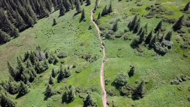 Aerial View Footpath Carpathians Ukraine — Stock Video