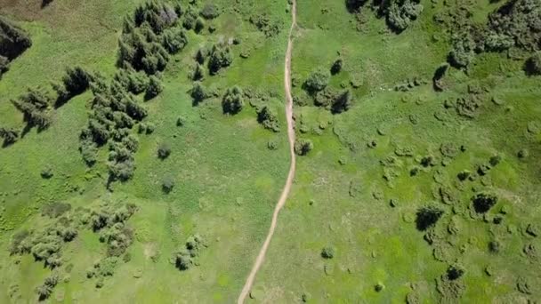 Luftaufnahme Des Fußweges Den Karpaten Ukraine — Stockvideo