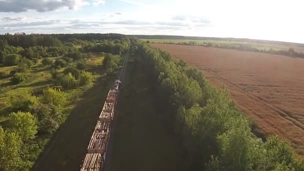 Vista Aérea Tren Cargado Árboles Paseos Través Del Bosque — Vídeo de stock