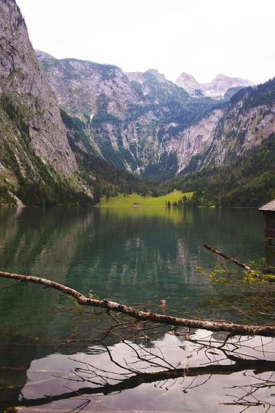 Casa na margem de um grande lago Obersee nos Alpes com troncos e pedras — Fotografia de Stock