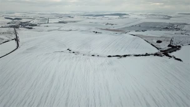 Vue de l'air sur la route d'hiver dans le champ sur lequel les voitures vont 