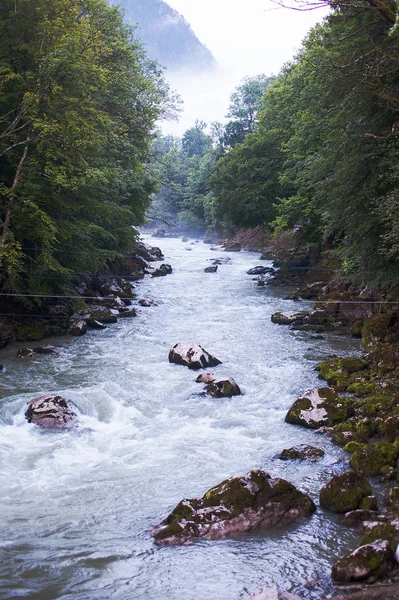 The river flows through a mountainous area in a forest in the Austrian Alps — Stock Photo, Image