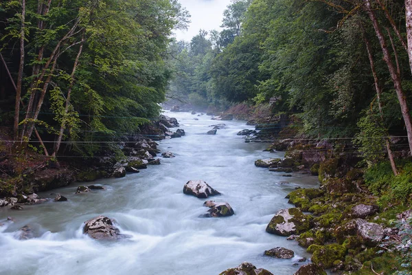 The river flows through a mountainous area in a forest in the Austrian Alps — Stock Photo, Image