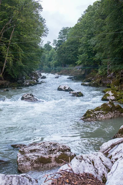 The river flows through a mountainous area in a forest in the Austrian Alps — Stock Photo, Image