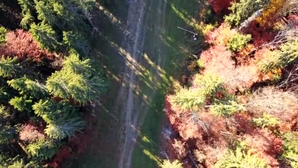 山道で車の動きの眺め カルパティア山脈 トップ ビュー — ストック動画