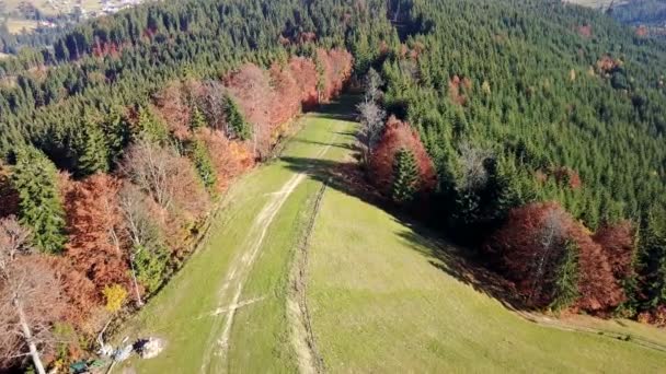 Flygfoto Bergsväg Och Vackert Höstlandskap — Stockvideo