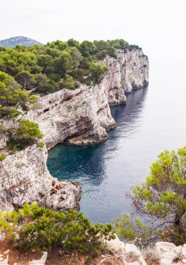Ormanda denizde bej taştan büyük bir taş duvar