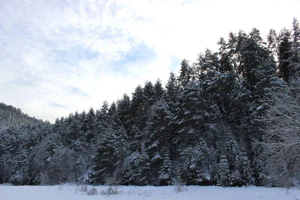 Mrożone Zimowej Scenerii Kraju — Zdjęcie stockowe