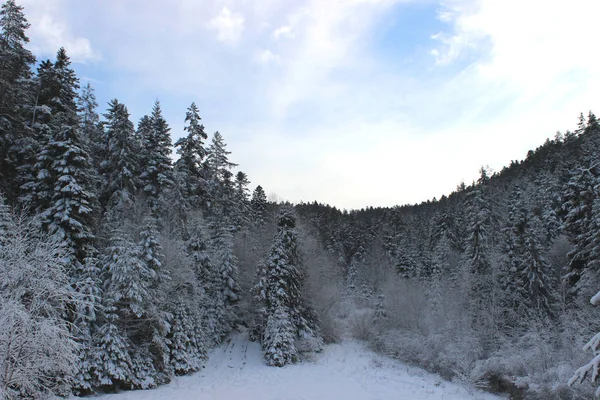 Снежная Зимняя Панорама — стоковое фото